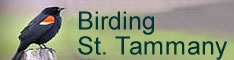 new orleans north birding